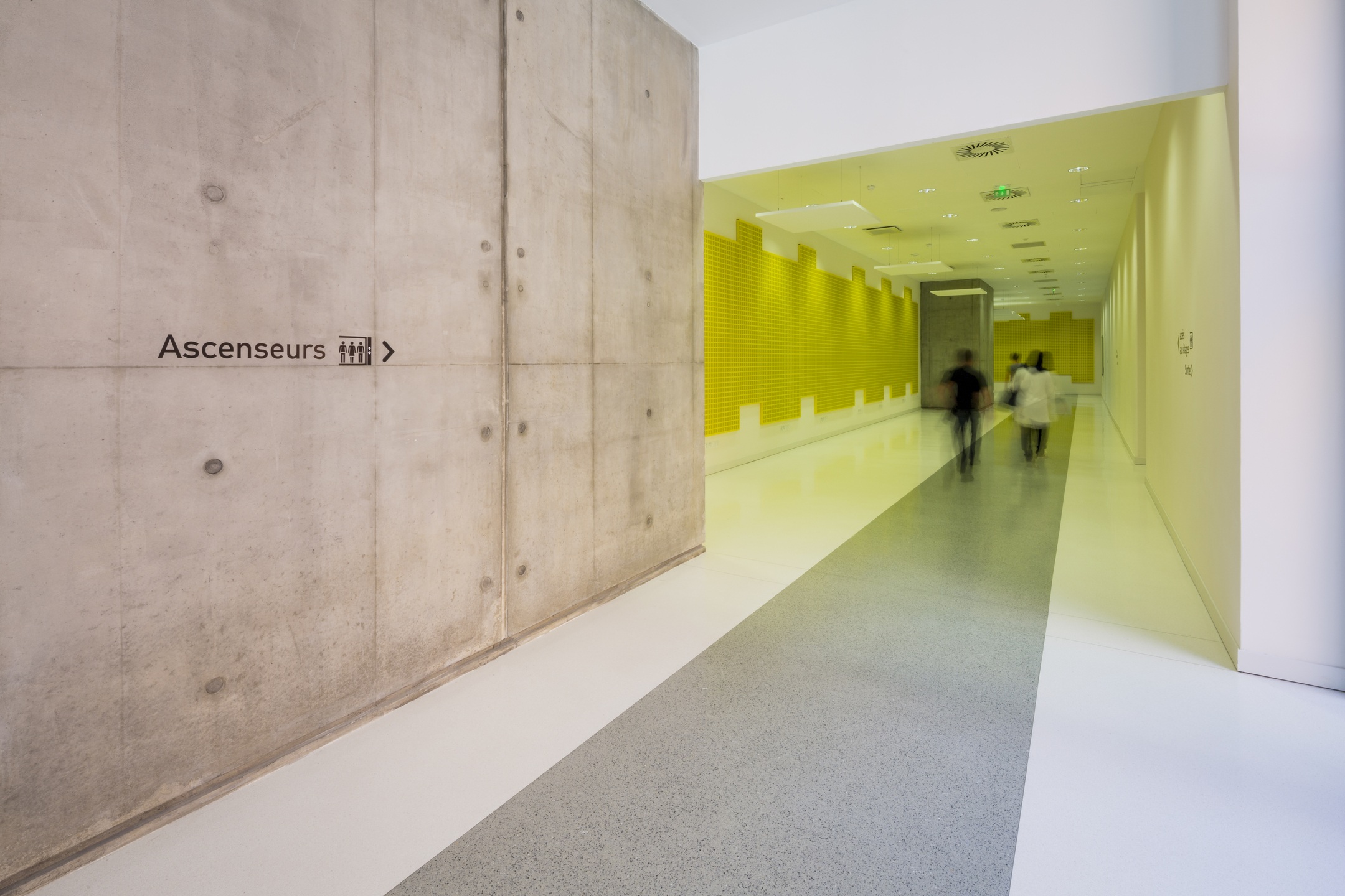 Urgences Réanimation Médecines - Toulouse (31)