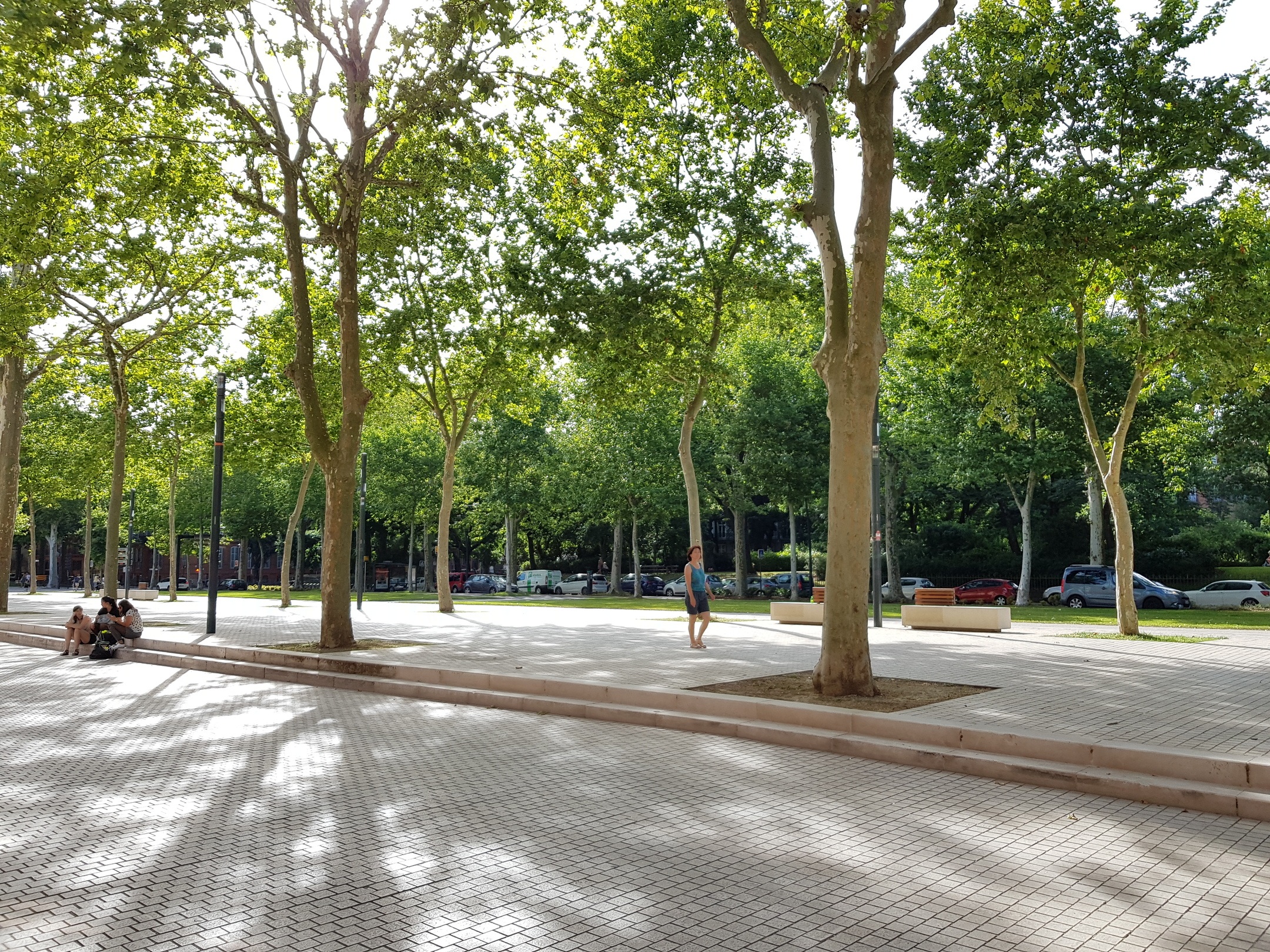 Tramway Garonne - Toulouse (31)