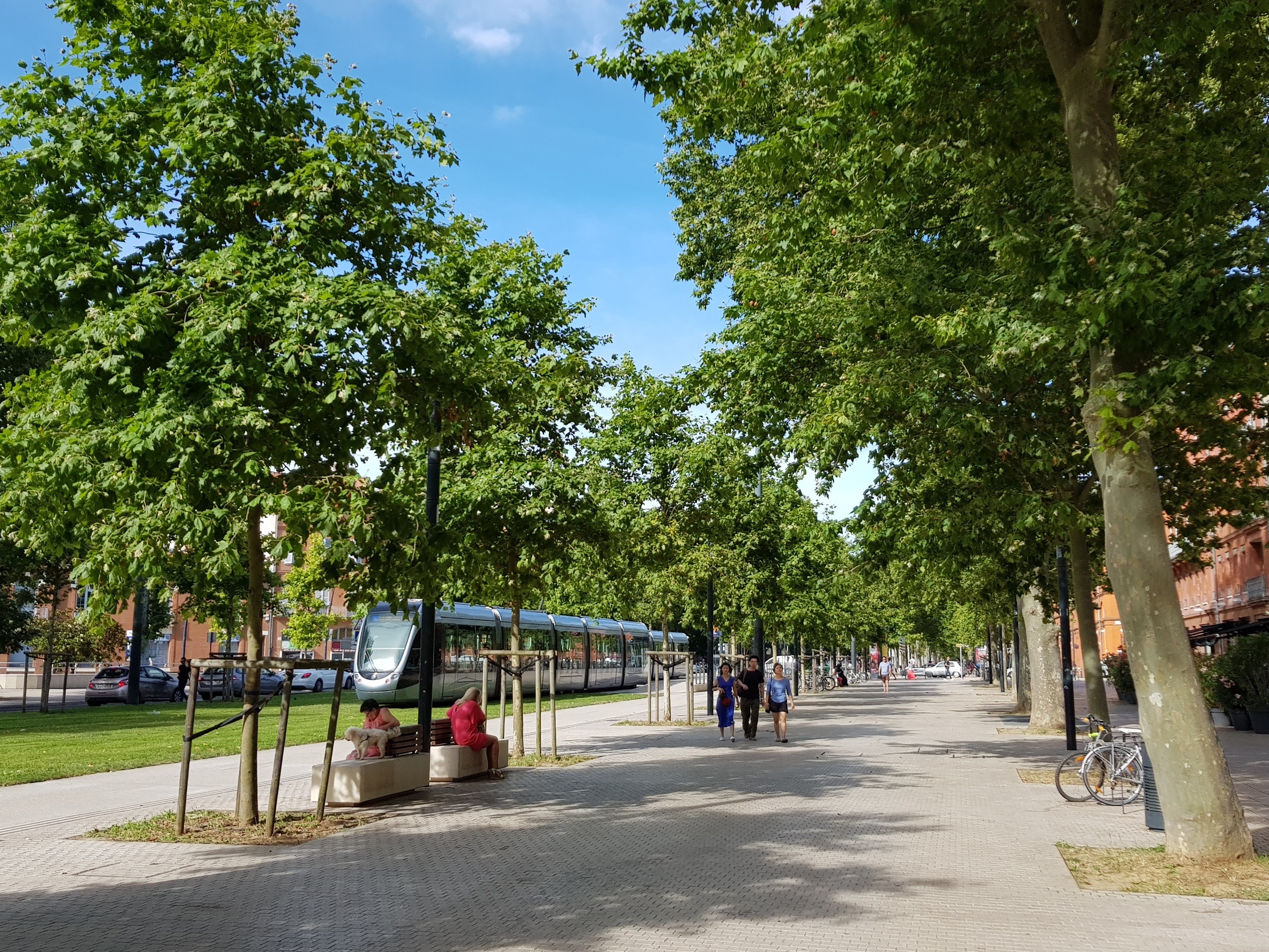 Tramway Garonne - Toulouse (31)