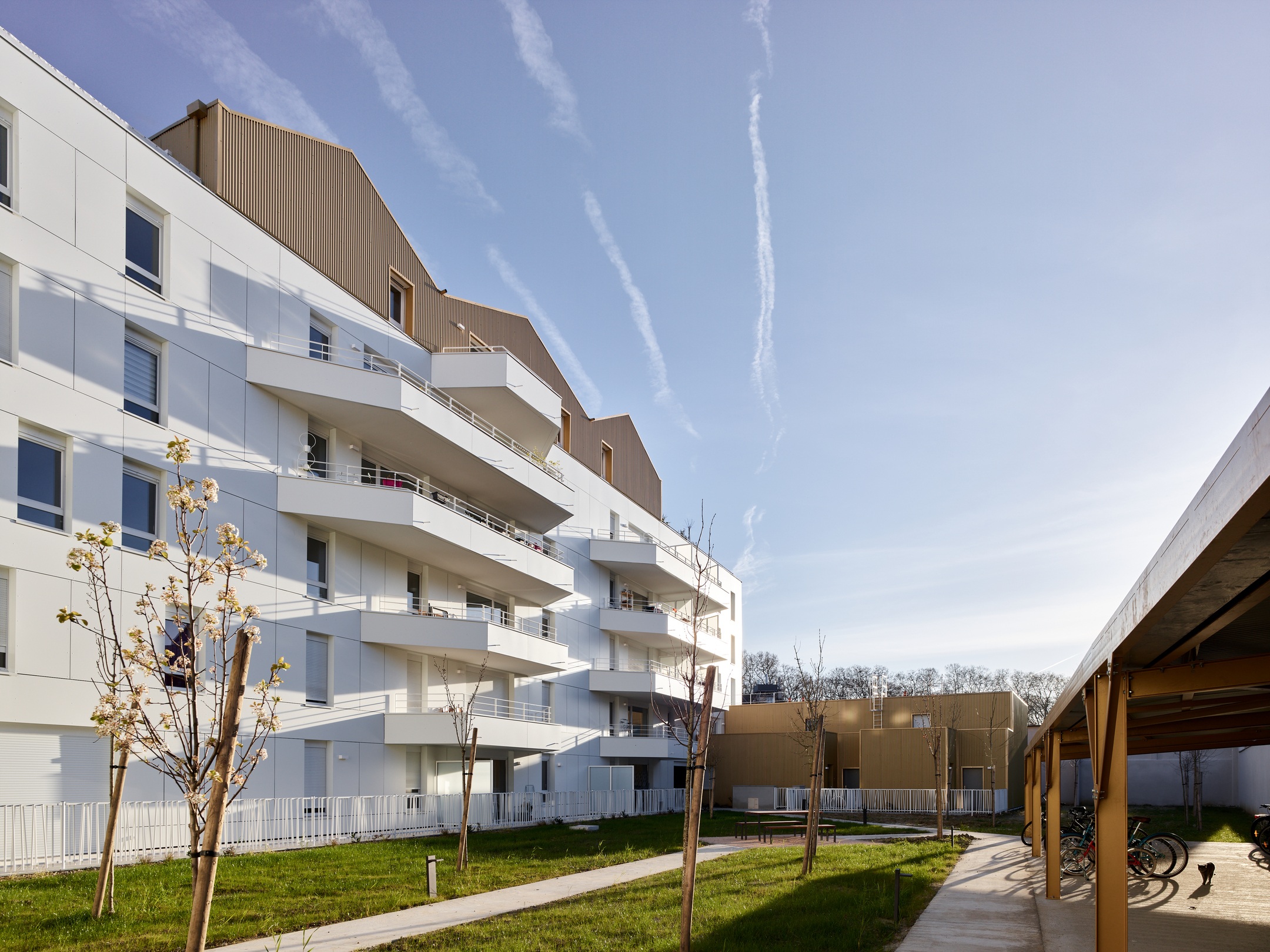 Résidence Dédicace - Toulouse (31)